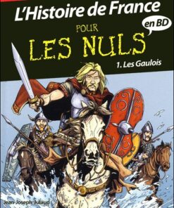 L'Histoire de France pour les nuls Tome 1