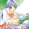 A town where you live 4