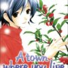 A town where you live 8
