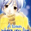 A town where you live 9