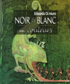 Noir et Blanc en Couleurs