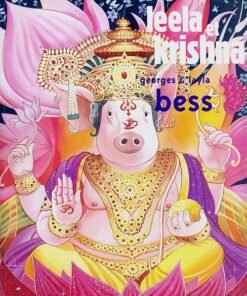 Leela et Krishna Tome 2