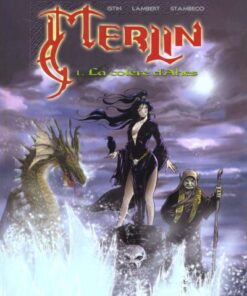Merlin Tome 1