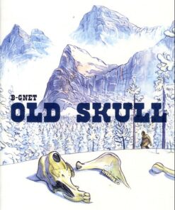 Old skull