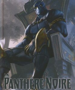 La Panthère Noire Tome 2