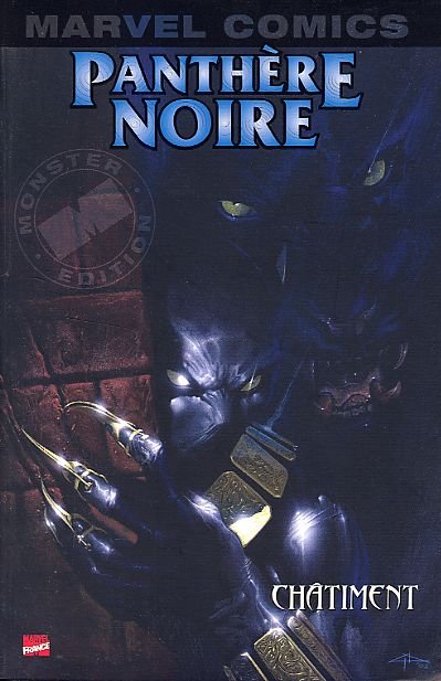 Panthère Noire Tome 1