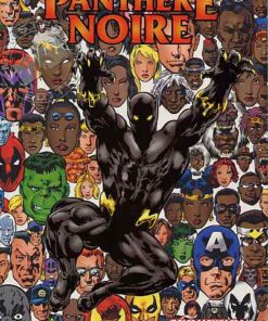 Panthère Noire Tome 2