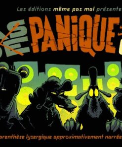 Pas de Panique à Sonic City