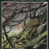 Les Passagers du vent Tome 5