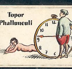 Phalunculli