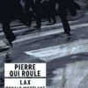 Pierre rouge plume noire