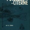 Poisson-chat
