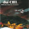 Pompon ours dans les bois