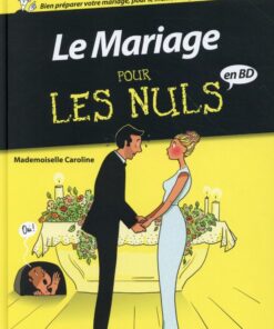 Pour les nuls en BD Tome 4