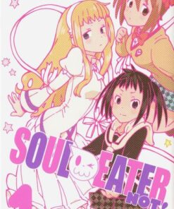 Soul Eater Not! - tome 01