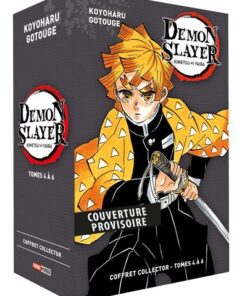 Demon Slayer - Coffret T04 à T06