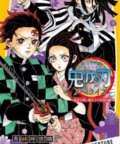 Demon Slayer - Roman jeunesse N°09