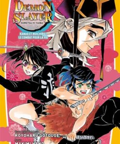 Demon Slayer - Roman jeunesse T08