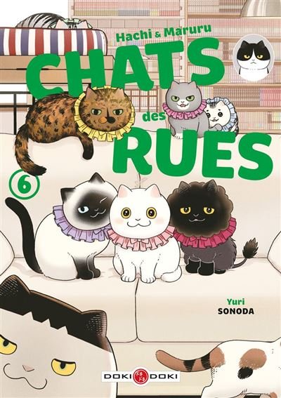 Hachi & Maruru - Chats des rues - Tome 6