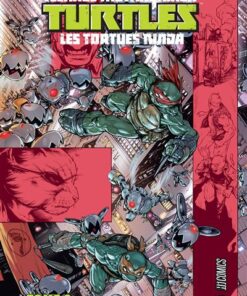 Les Tortues Ninja - TMNT, T8 : Vengeance, Première partie