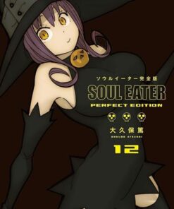 Soul Eater Perfect Edition - Tome 12