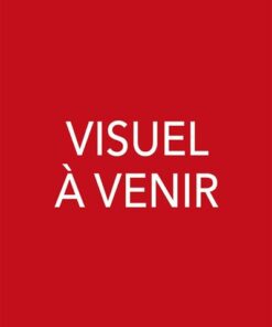 Star Wars Légendes : La Menace révélée T04