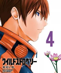 Wild strawberry t04
