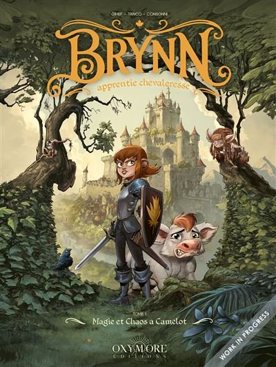 Brynn apprentie chevaleresse - Tome 1 Magie et Chaos à Camelot -  Gihef - Oxymore Editions - cartonné - Bande dessinée jeunesse